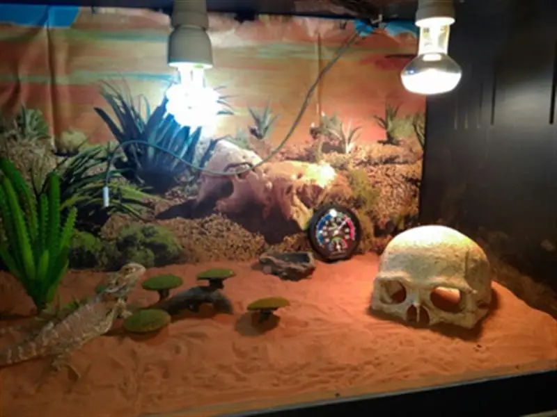 Украшение для аквариума Ландшафтная статуя черепа из кости подарки смолы