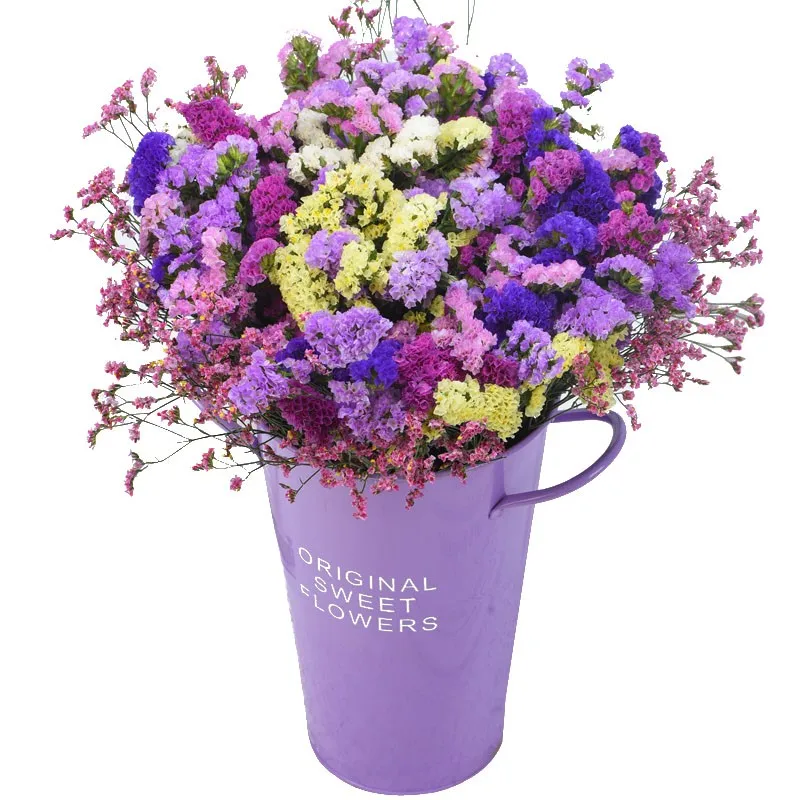 

50g Natural Dried Plant Multi-Color Myosotis DIY Wedding Festival Party Home Decoration Valentine's Day Present