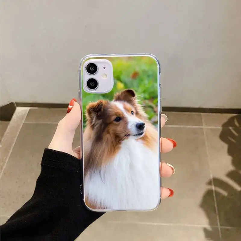 

Funny Animal Sheltie dog Phone Cases Transparent for iPhone 6 7 8 11 12 s mini pro X XS XR MAX Plus