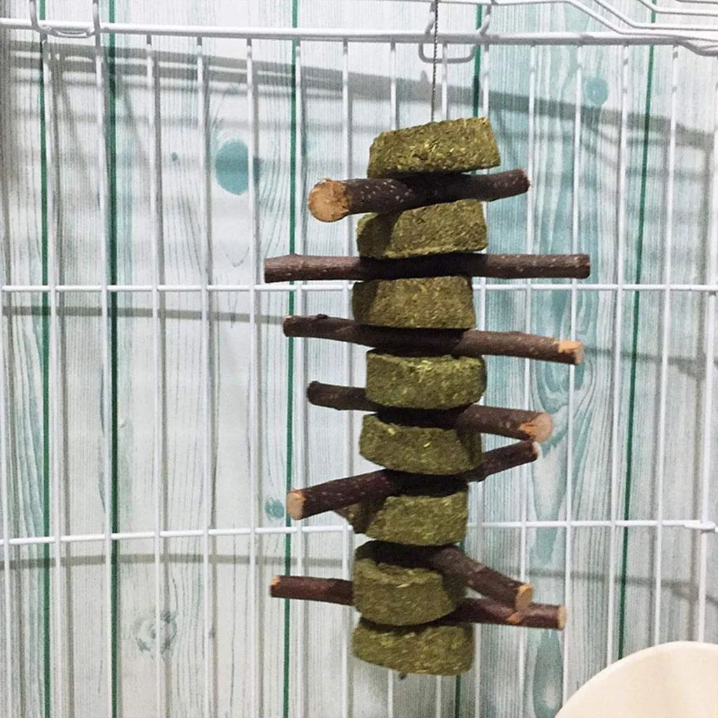 Новый маленький питомец жует игрушки зубы кролика органические яблоко