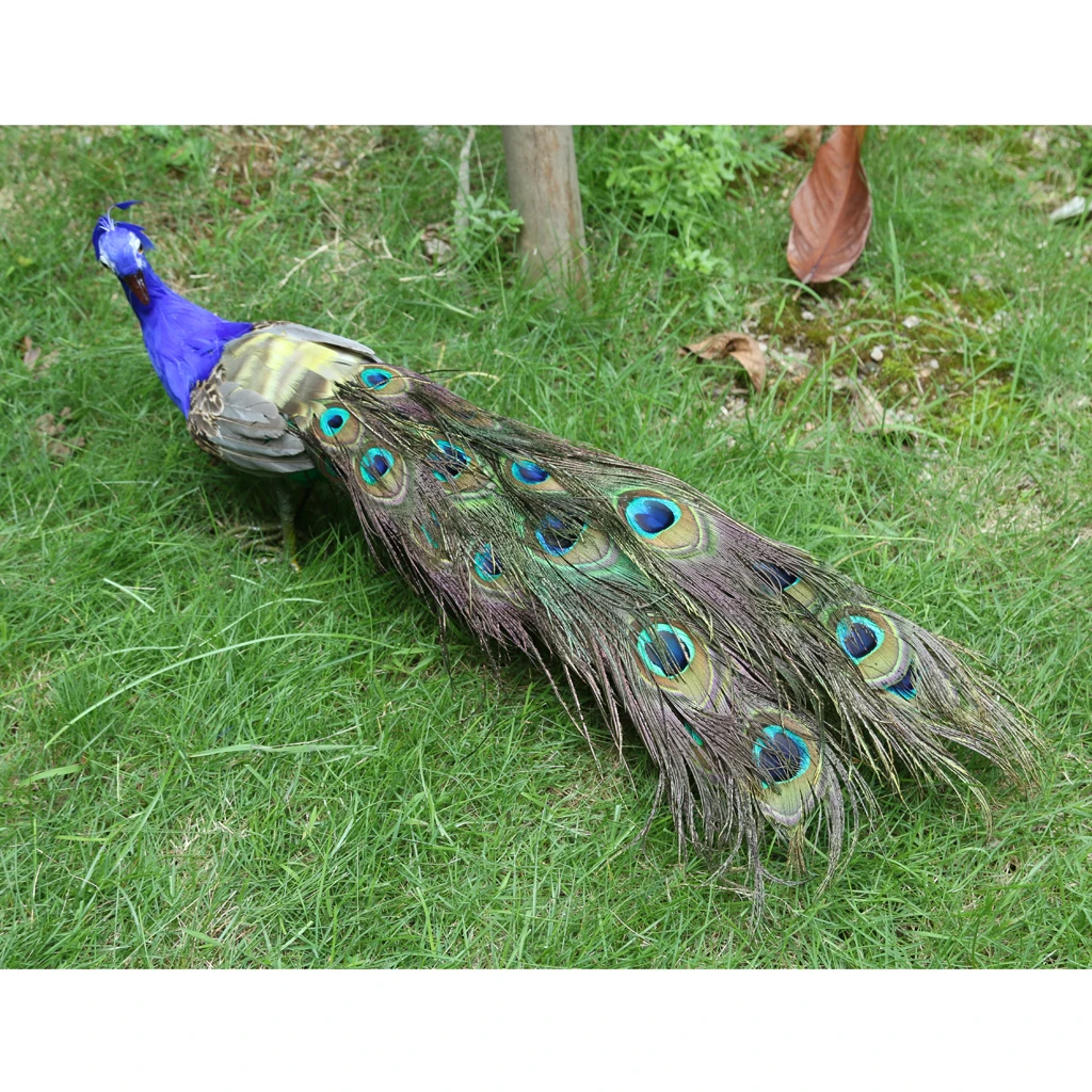 

Realistic Lifelike Artificial Feather Peacock Bird Garden Decors Ornament