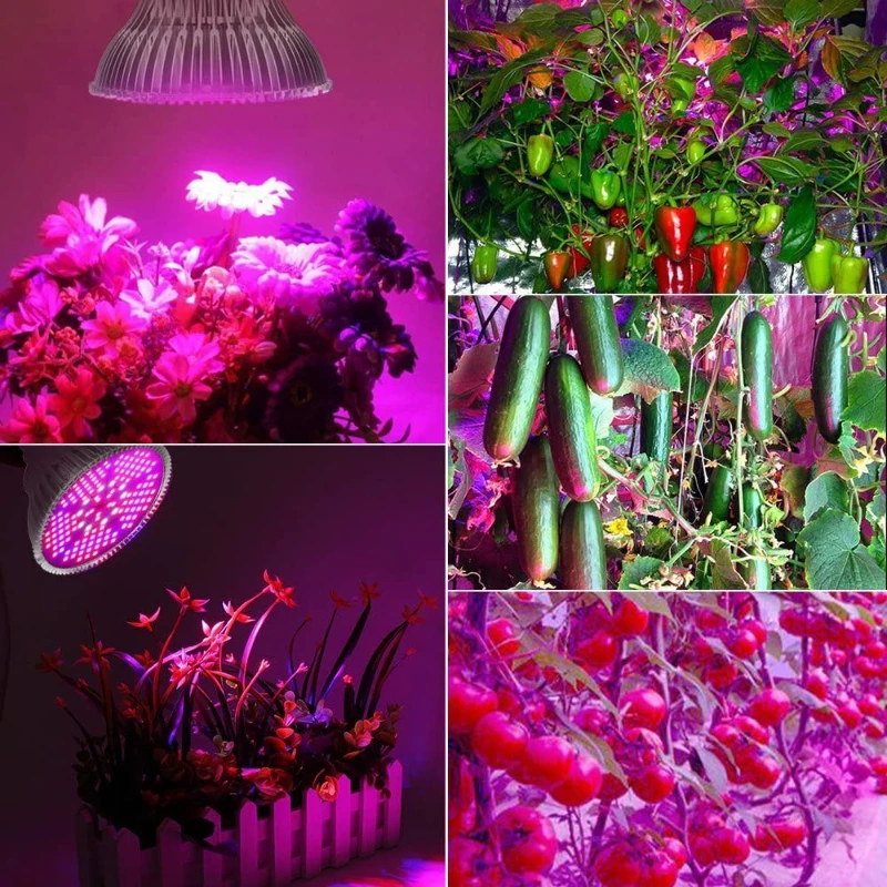 

LED Grow Light E27 100W Full Spectrum 150LEDs Plant Lamp for Indoor Plants Flowers Seeds Garden Vegetables Greenhouse Tent