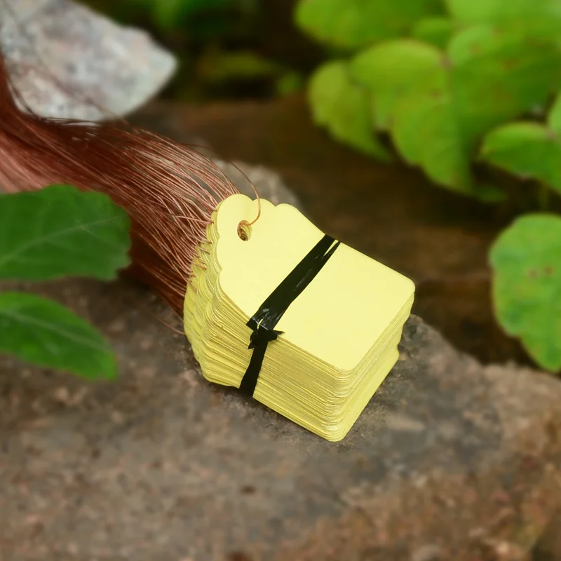 

100pcs PVC Plant Labels with line Waterproof Garden Signs Hanging Tags garden plant pot markers for Pot Nursery Bonsai tool