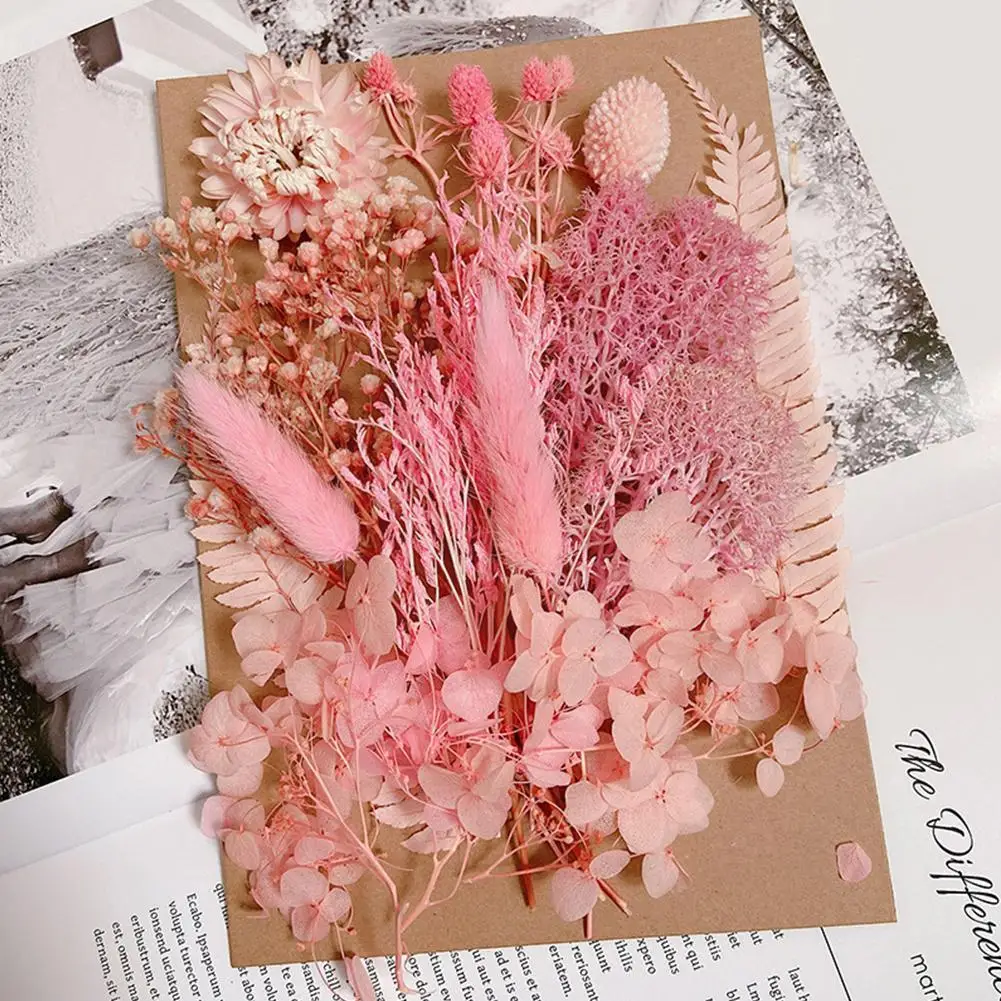 

Mixed Preserved Dried Flowers Material Bag For Wedding Accessory DIY Holiday Party Gift Flowers Home Decoration X2L3