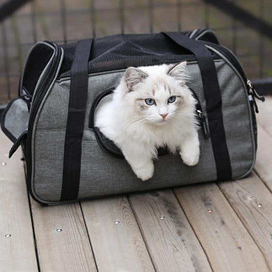 Женская сумка с кошкой для школы и путешествий школьный прозрачный рюкзак