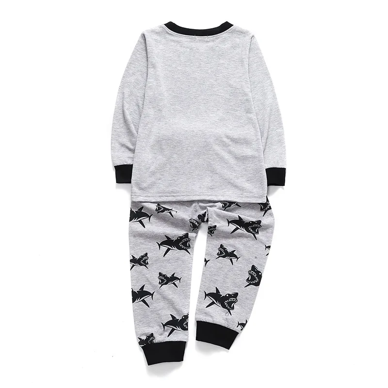 Комплекты одежды для мальчиков комплект из 2 предметов: футболка + штаны осенние