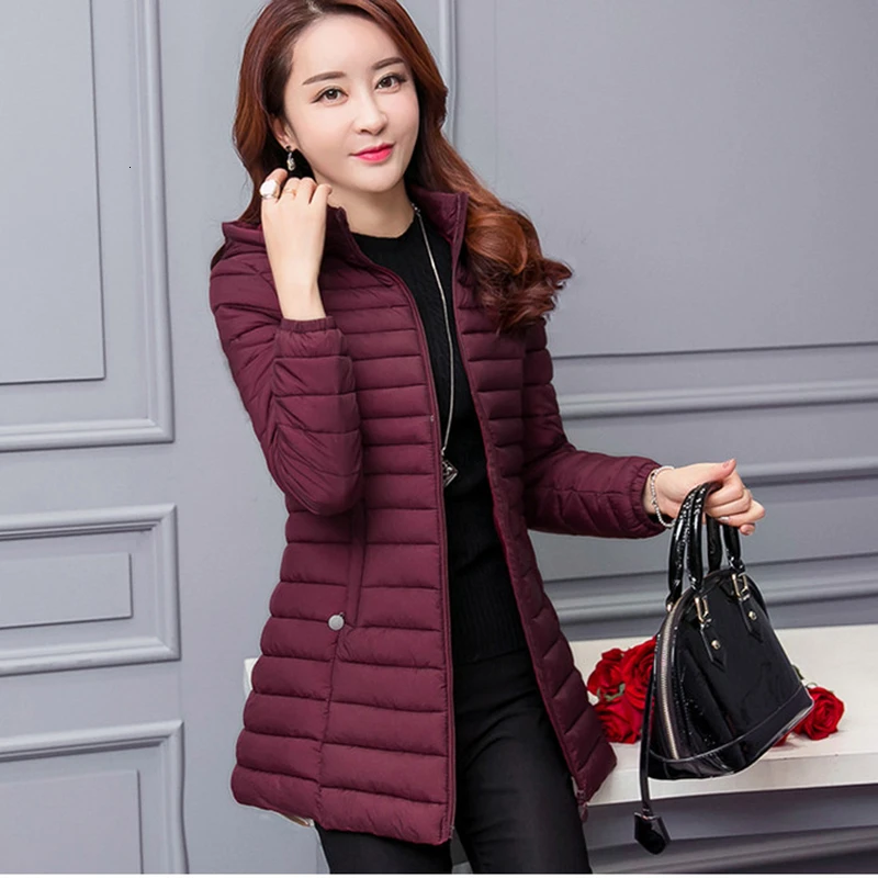 Женская осенне зимняя куртка парка 2019 новая однотонная с капюшоном средняя