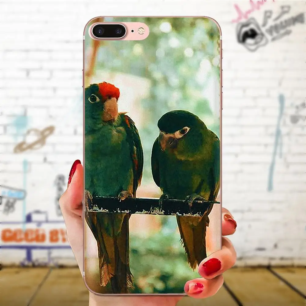 Мягкая защитная пленка из термополиуретана говорящая птица для huawei Honor mate 7 7A 8 9 10