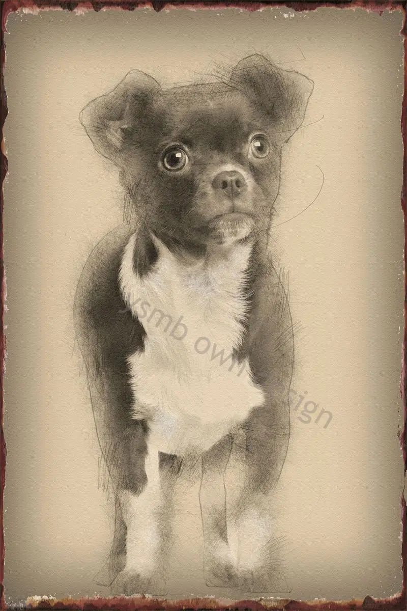 

Жестяная Табличка с металлическим знаком чихуахуа, Оловянная табличка, Настенный декор в стиле ретро, винтажный декор для художественного ...