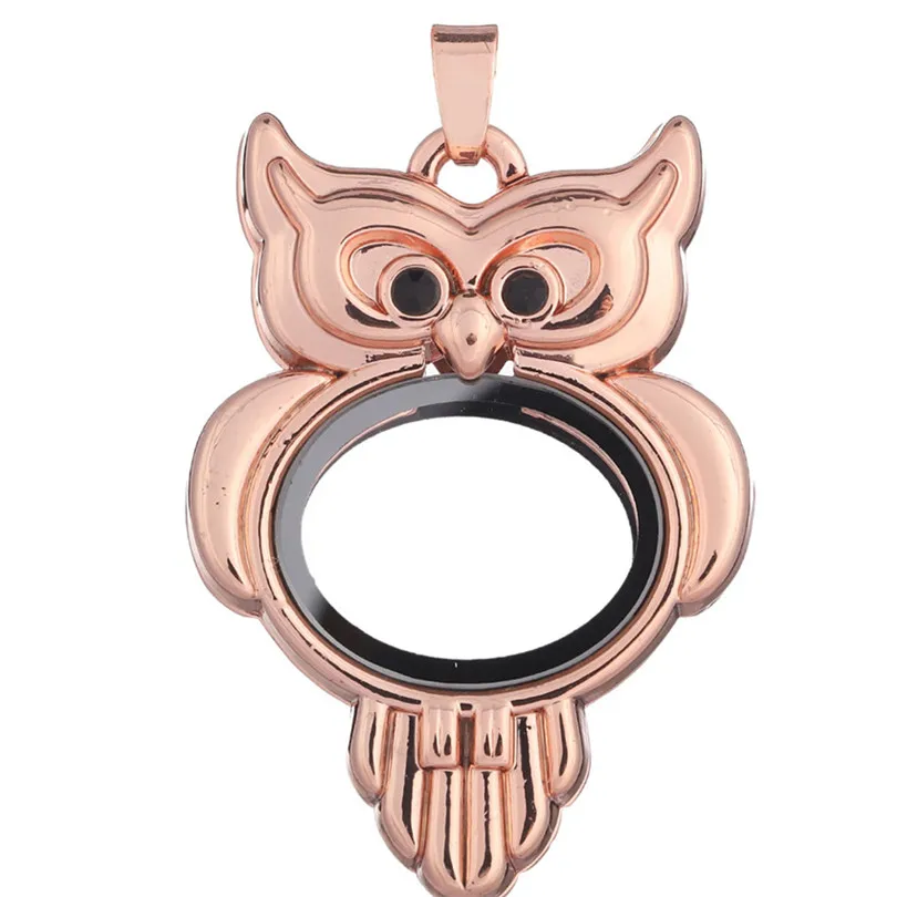 5 шт. Разноцветные Подвески в форме сердца и совы | Украшения аксессуары