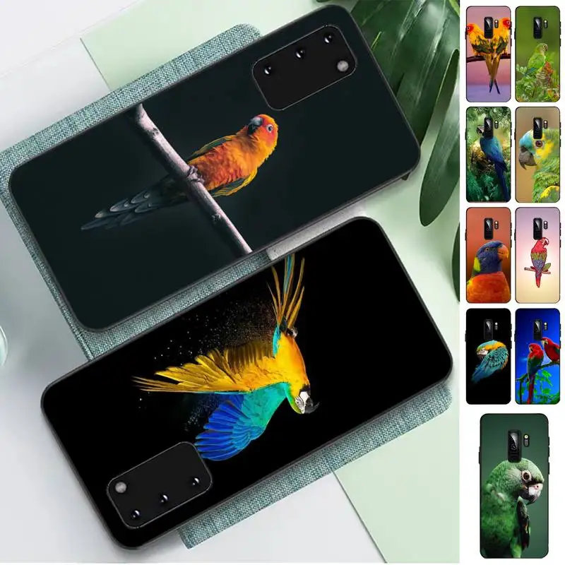 

FHNBLJ Parrot Bird Phone Case for Samsung S10 21 20 9 8 plus lite S20 UlTRA 7edge