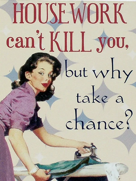 

Housework Can't Kill You Retro Replica Vintage Style Metal Sign/plaque Gift