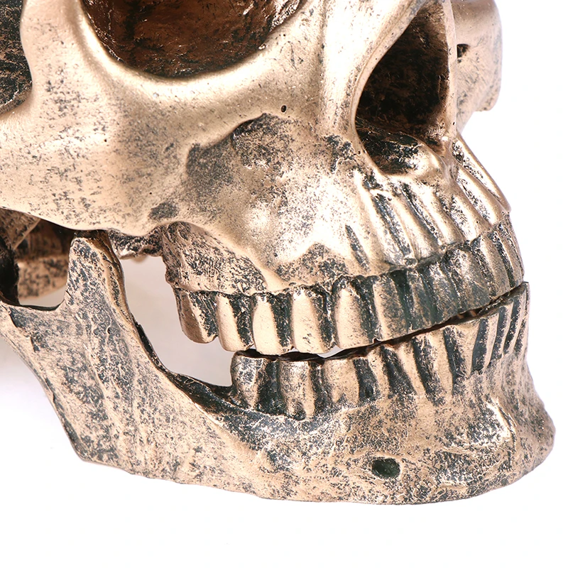 Bronze Resin Skull Model Painting Medical Sculpture Statue Crafts Halloween Home Decoration | Дом и сад