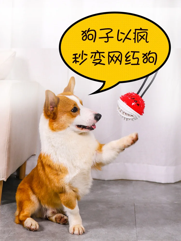 

SHZQ Interactive dog bite chew ball on rope dog toy with suction cup dog rope toy dog toys for large dog toys interactive dog