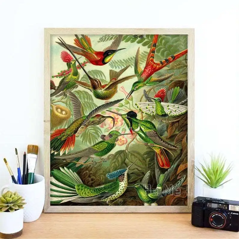 

Tropical Birds Of Paradise Print Vintage Art Jungle Animal Bedroom Wall Decor Cool Gifts