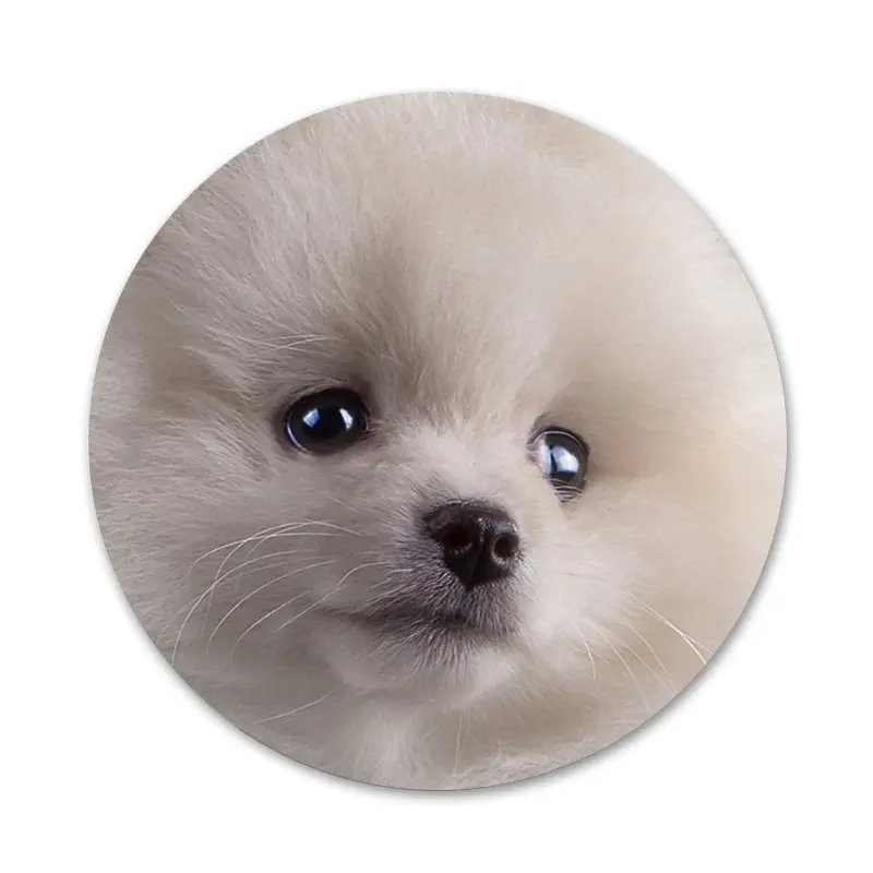 Своего померанского шпица значок с собакой брошь заколка аксессуары для одежды