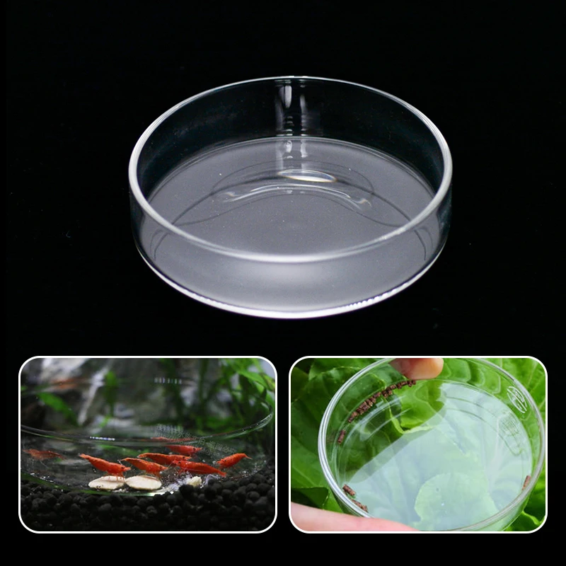 Прозрачная стеклянная еда для кормления креветок Круглая Емкость аквариума