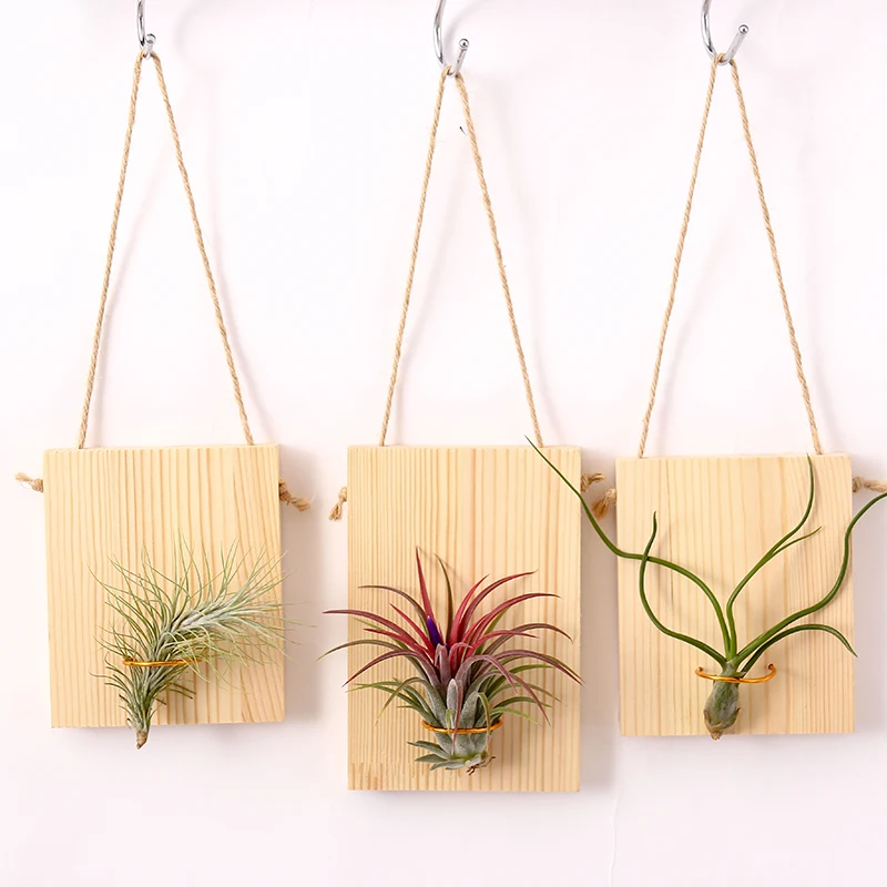 

Неподвижная настенная вешалка из массива дерева