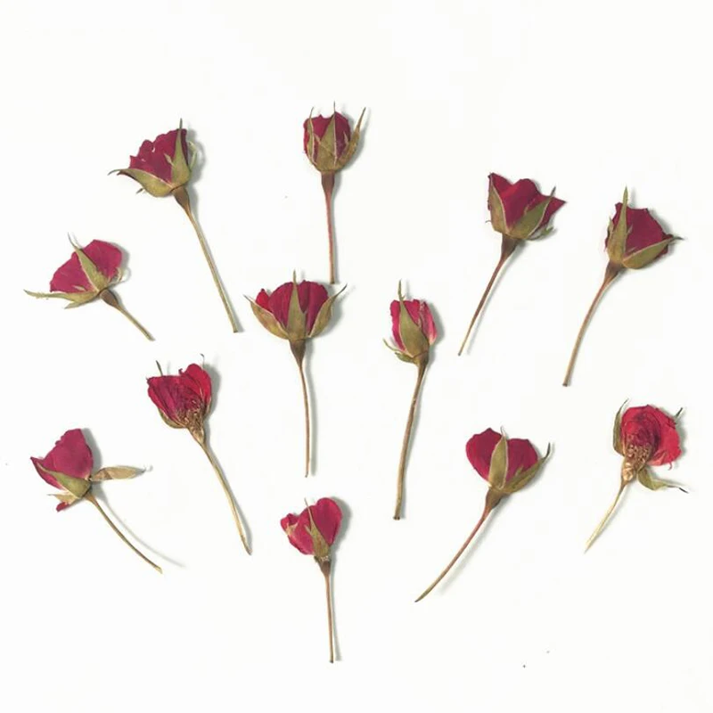 2020 12Pieces Pressed Real Dried Flower Half Cut Rose for DIY Home Ornament Resin Casting Making Christmas Card Decoration - купить по