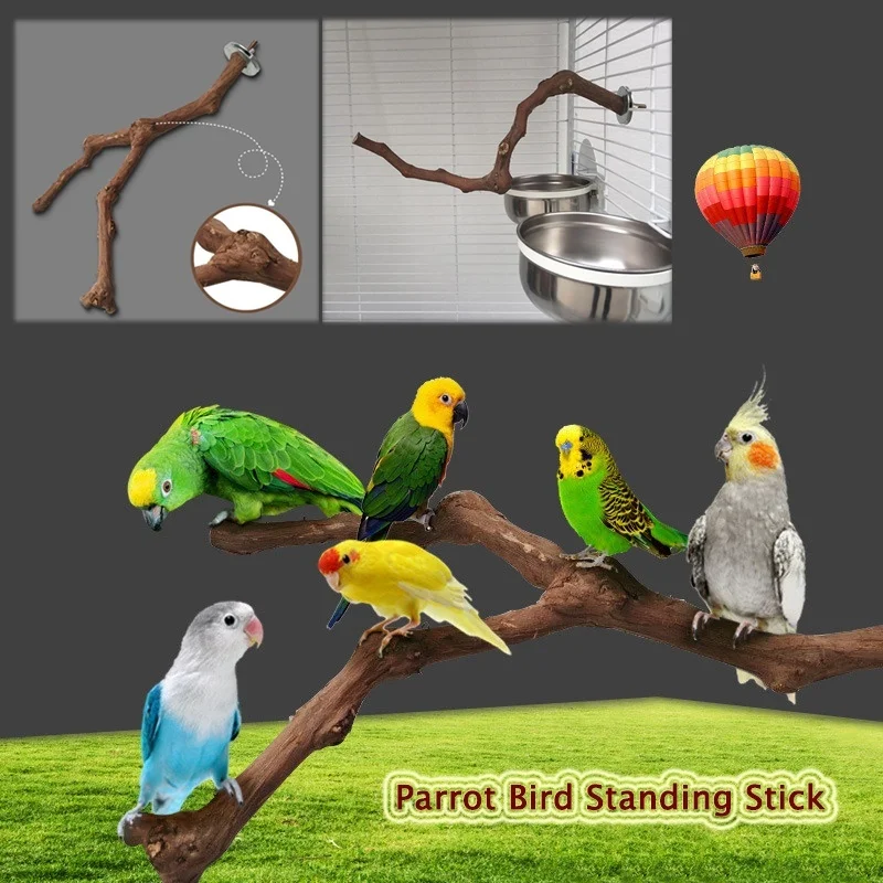 Pet Bird Parrot Standing Stick Wild Grape Wood Pole Cockatiel Parakeet Perches Bite Claw Grinding Toy Cage Accessories | Дом и сад
