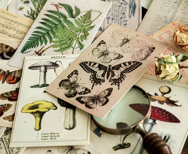 30 шт./кор. древнего леса Животные Стиль Винтаж Почтовые открытки подарок ретро