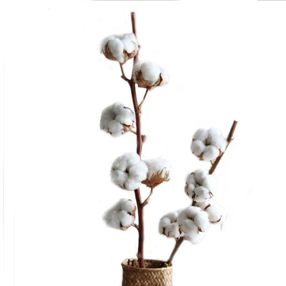 

1pcs dried natural flower bouquets dried natural cotton branch flower bouquets one branch have 5 flowers