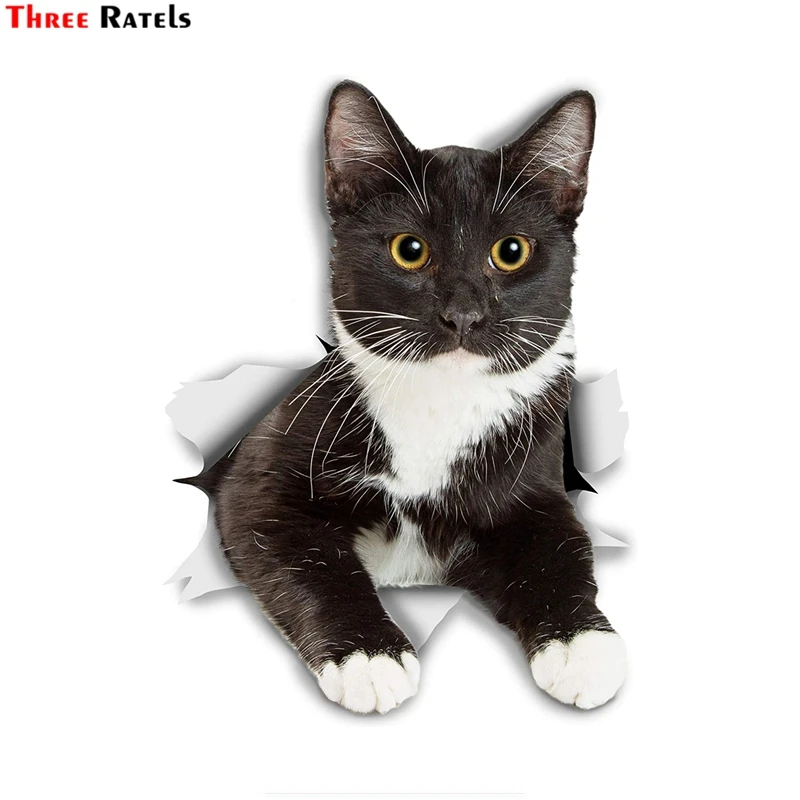

Three Ratels 3D 1093 Black And White Cat kitten Stickers Resting Tuxedo Kitty decal For Wall Fridge Toilet