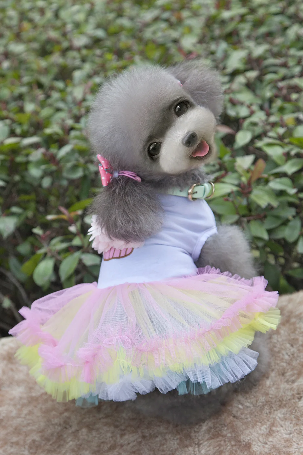 

Pet Dog Clothes Summer Dog Dress for Small Dogs Clothing Skirts Lovely Cat Dresses Party Pet Apparel