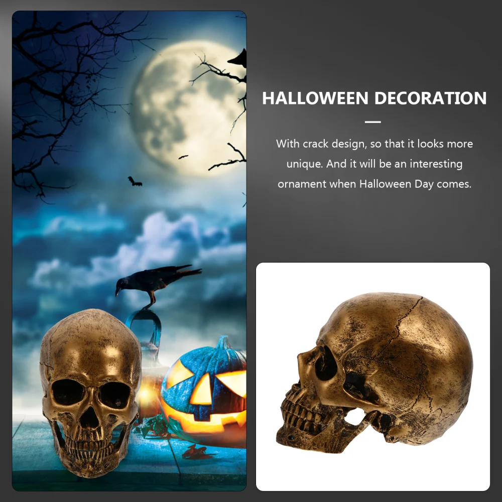 

1 Pc Human Decor Skeleton Head Sculpture Statue Realistic Decoration