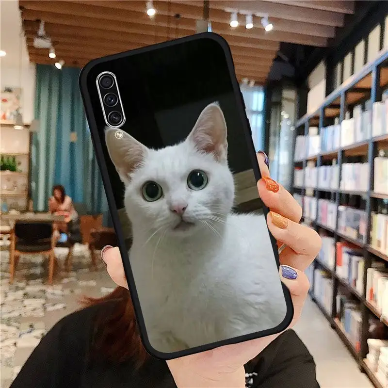

squishy lovely cat Phone Case For Samsung galaxy S 21 20 10 8 A 50 21s 51 71 70 40 20 20e note 10 plus Ultra 5g fe