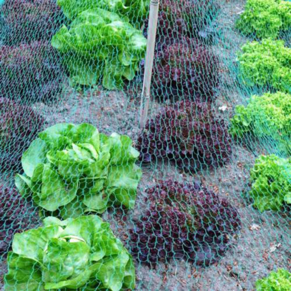 

5pcs 4.5M Garden Plant Netting Protect Against Rodents Birds Netting