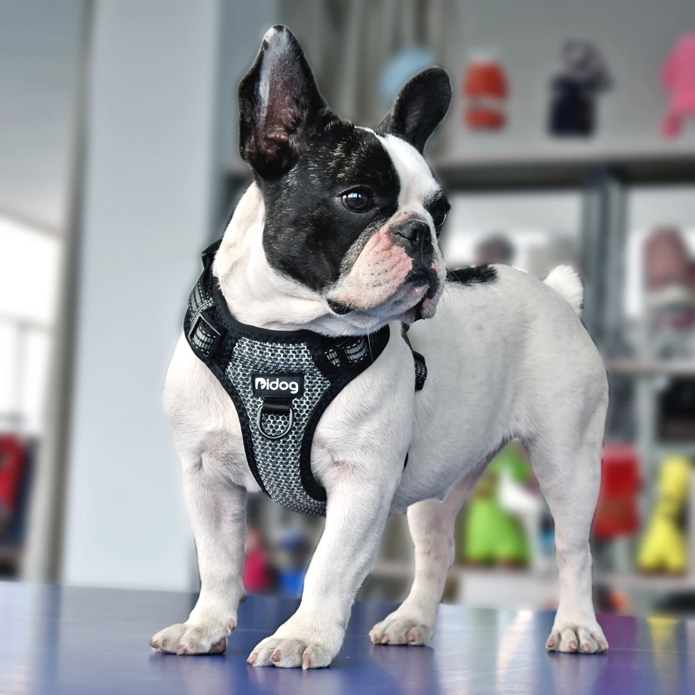 Nylon Dog Harness Reflective Bull Step In No Pull Pet Pug Harnesses Adjustable for Small Medium Dogs Pitbull Puppy | Дом и сад