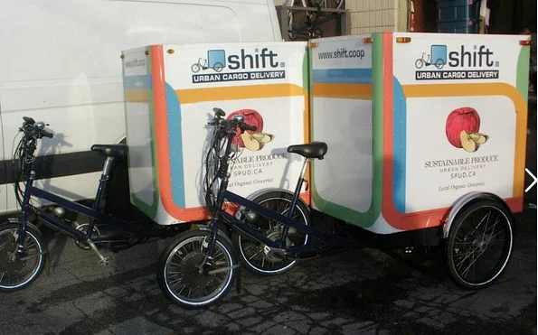 3 колеса взрослый трицикл грузовой Электрический велосипед для транспортировки