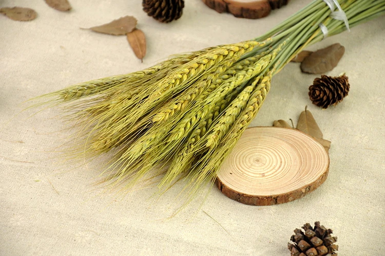 10 шт./лот натуральный сухой хвост кролика трава фон для фотосъемки аксессуары