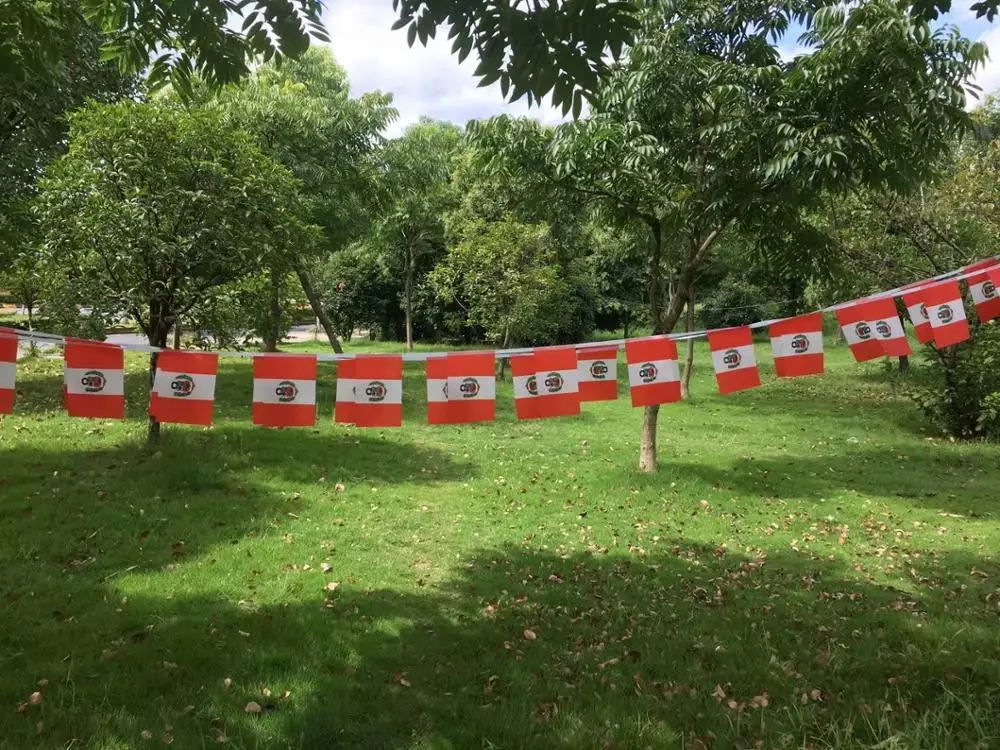 9 м длинные Перу флаг Вымпел стринг баннер Великобритании Бантинг фестиваль