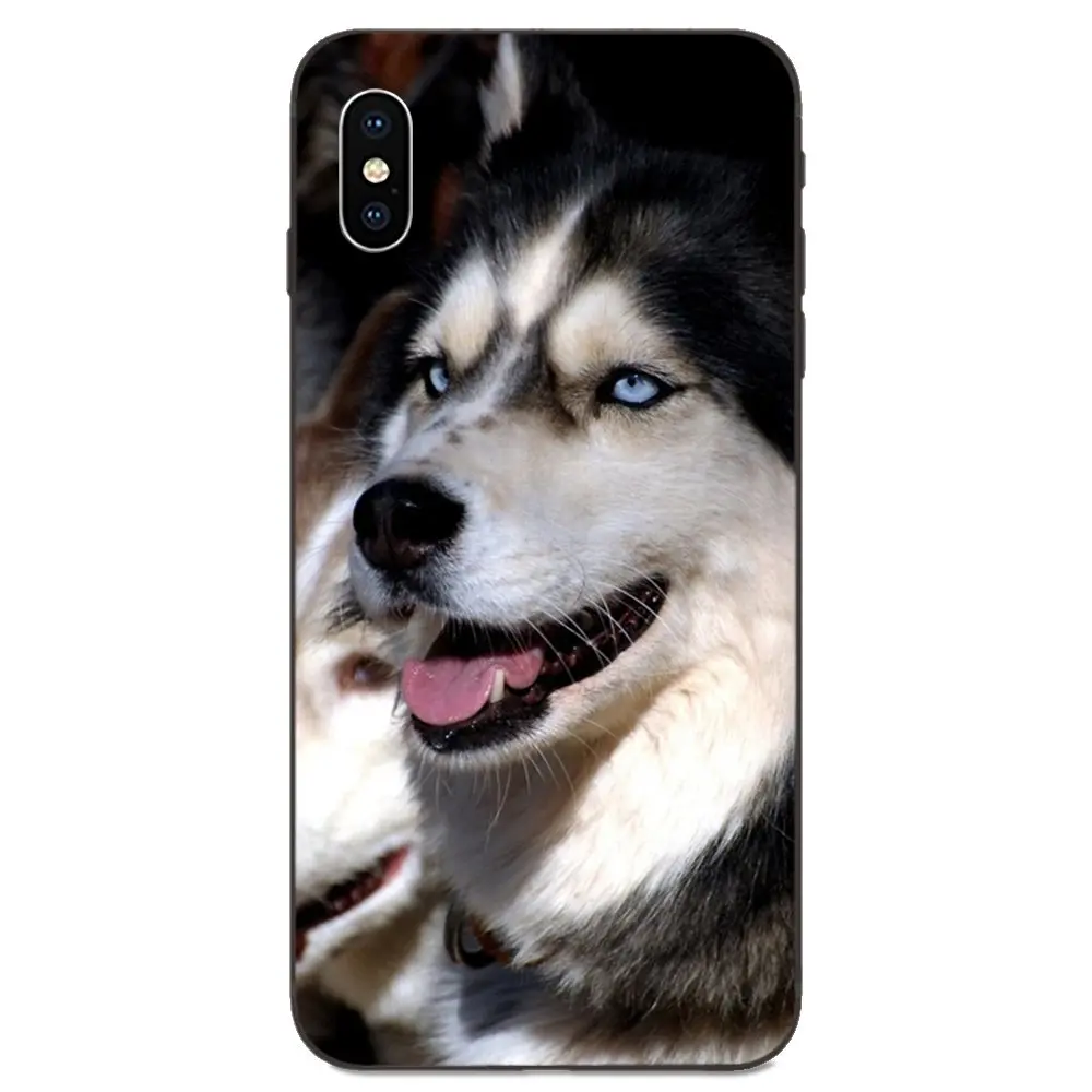 For Huawei nova 2 2S 3i 4 4e 5i Y3 Y5 II Y6 Y7 Y9 Lite Plus Prime Pro 2017 2018 2019 Lovely Alaskan Malamute Siberian Husky Dog | Мобильные