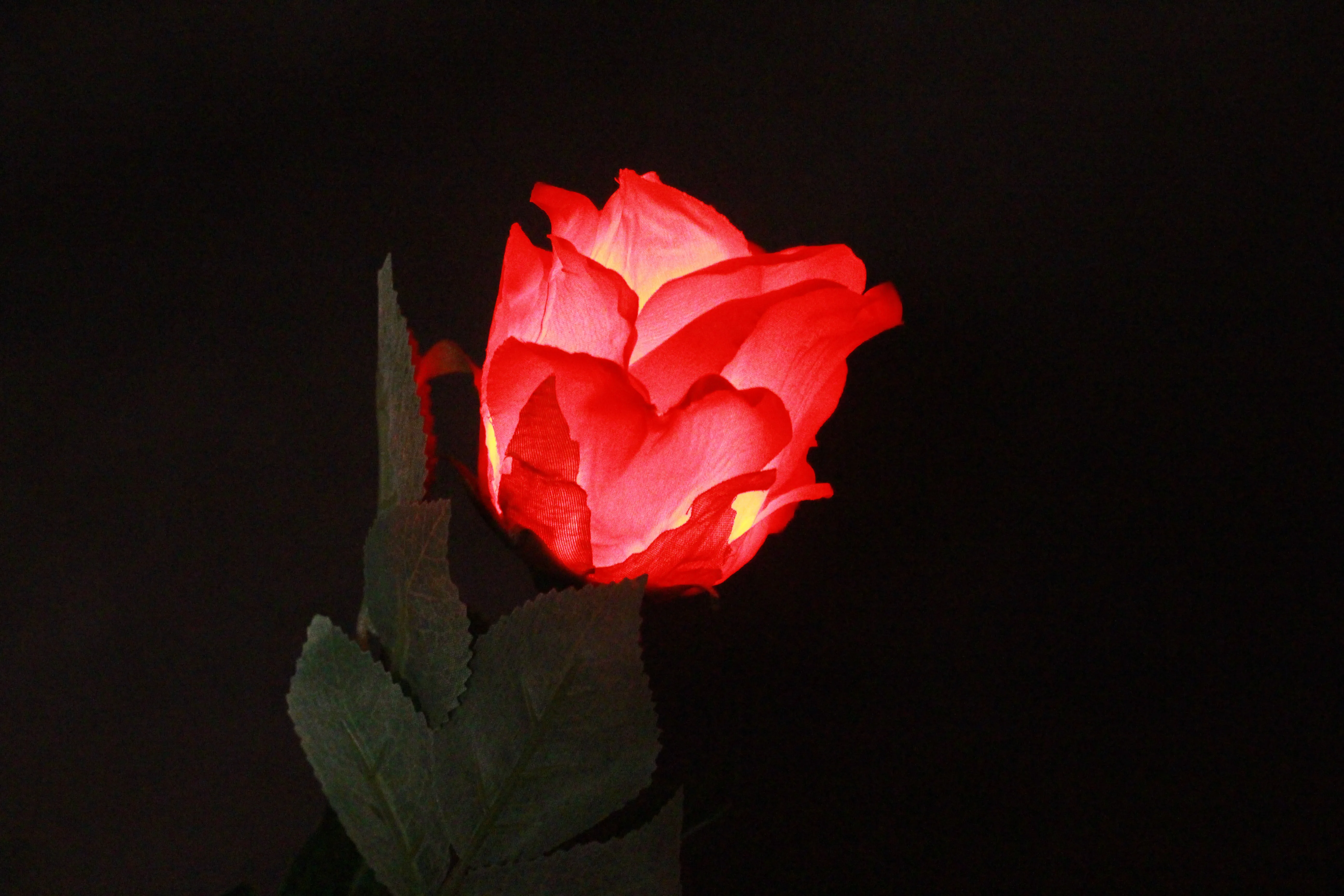 Super Light Rose (Rechargeable 2 Colors) -Appearing Vanishing Magica Stage Gimmick Accessories Comedy Magic Tricks props | Игрушки и