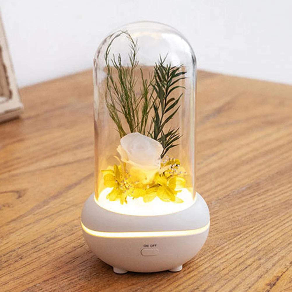 

Valentine's Day Birthday Holiday Gifts Aroma Diffuser Preserved Fragrance Portable Night Lamp Rechargeable USB Aroma Diffuser