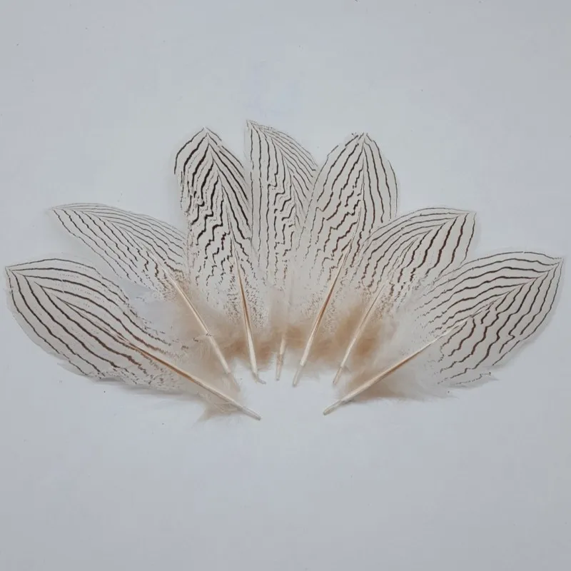 Оптовая продажа 20-25 см серебряные перья фазана для творчества украшение