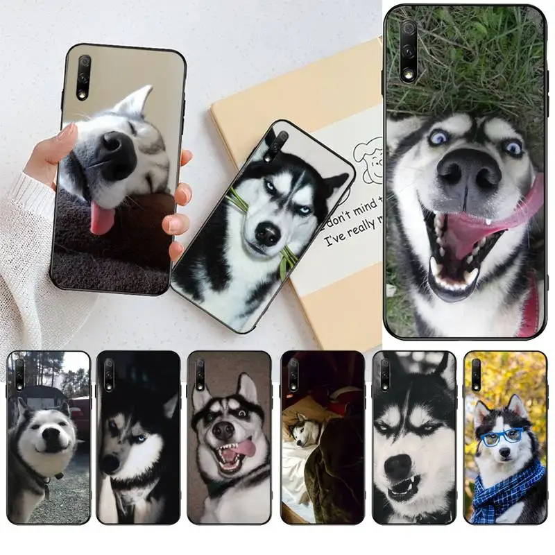 

YJZFDYRM Funny husky Soft black Phone Case For Huawei Nova 6se 7 7pro 7se honor 7A 8A 7C Prime2019
