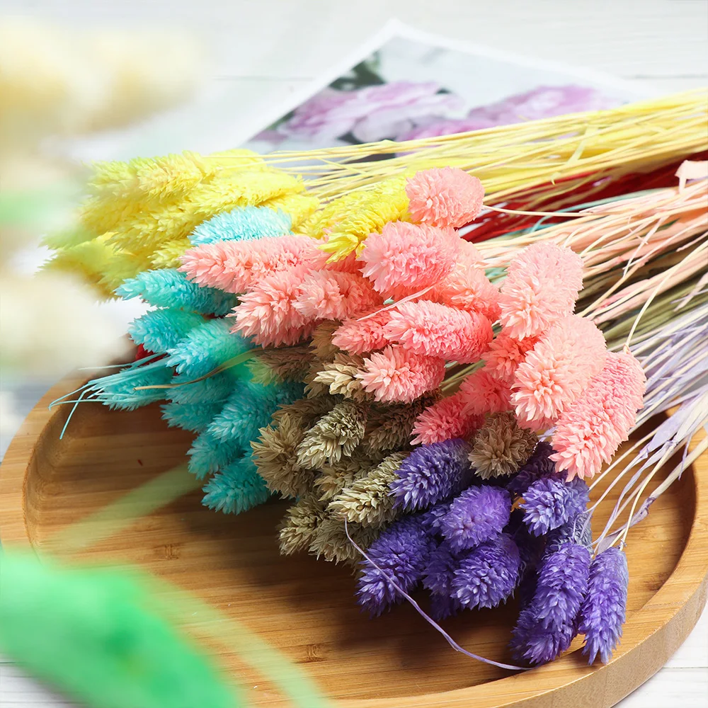 20 шт. натуральные высушенные цветы с градиентом для свадьбы пасхального кролика