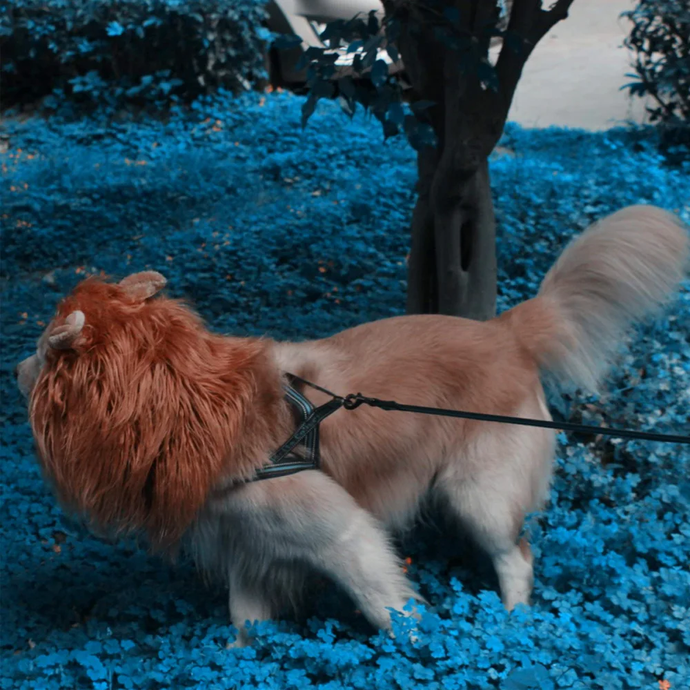 

2PCS Lion Shape Hat with Tail Pet Costumes Fashionable Pet Supplies for Dog