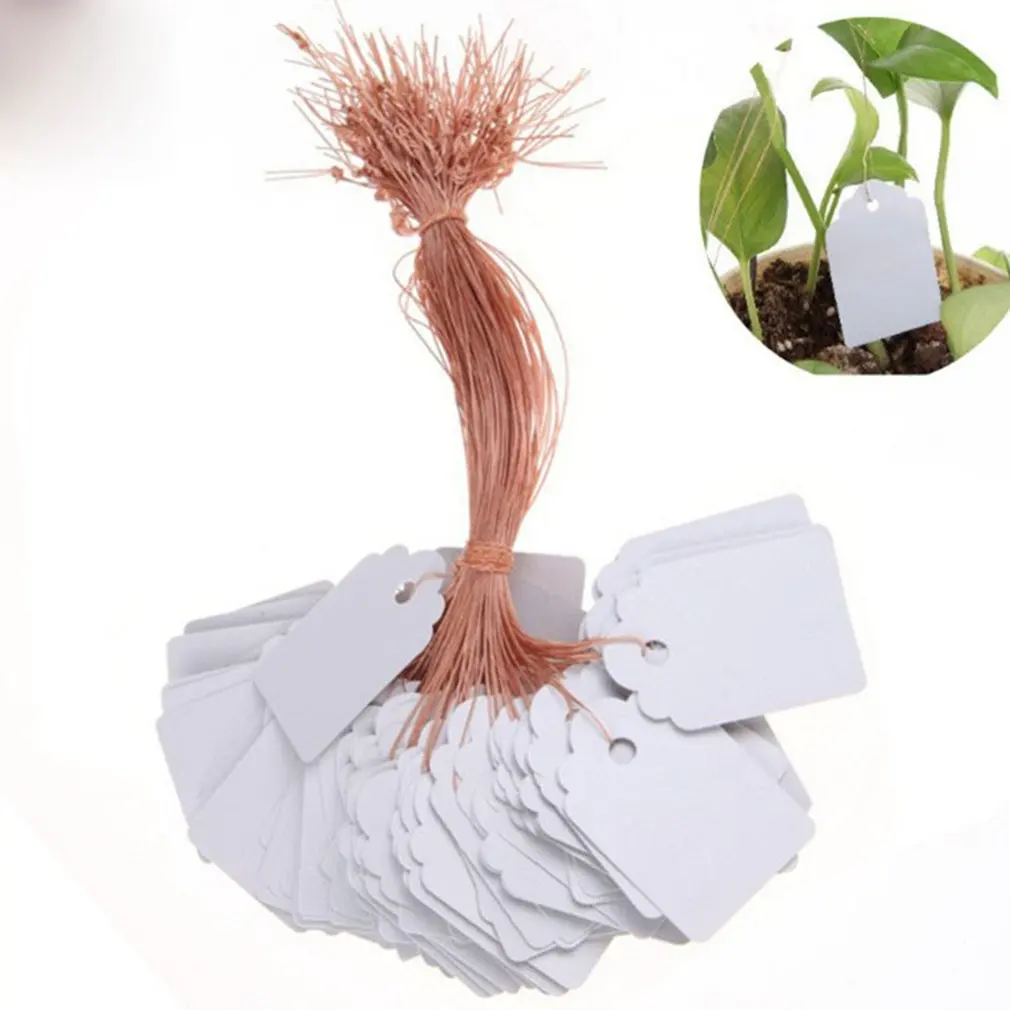

100PCS Plastic Waterproof Hanging Tags with String Line Gardening Labels For Pot Vegetable Herbs Flower Seedling Planting Tray