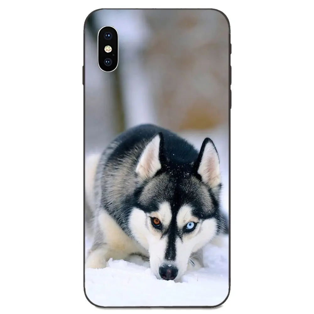 For Huawei nova 2 2S 3i 4 4e 5i Y3 Y5 II Y6 Y7 Y9 Lite Plus Prime Pro 2017 2018 2019 Lovely Alaskan Malamute Siberian Husky Dog | Мобильные