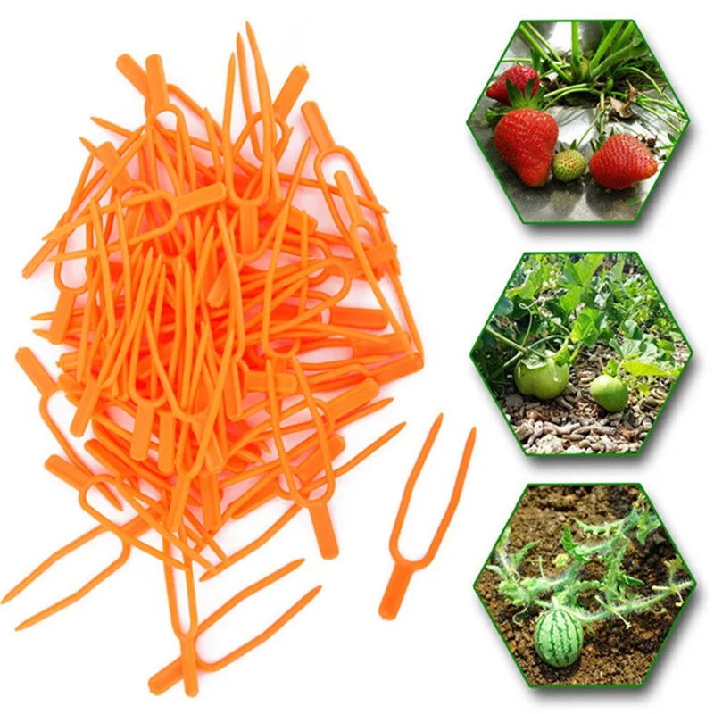 

100% band New Household Product 150pcs Plant Garden Climbing Buildings Supplies room decoration accessories Home utensils