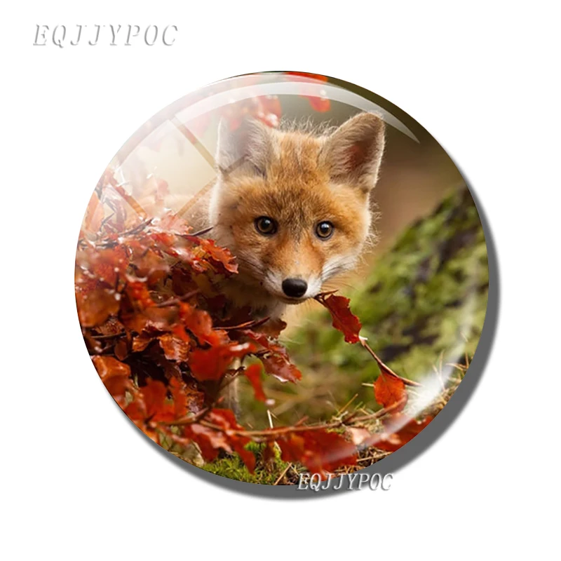 5 шт./лот подвеска ручной работы с изображением беатрикса Поттера стеклянный