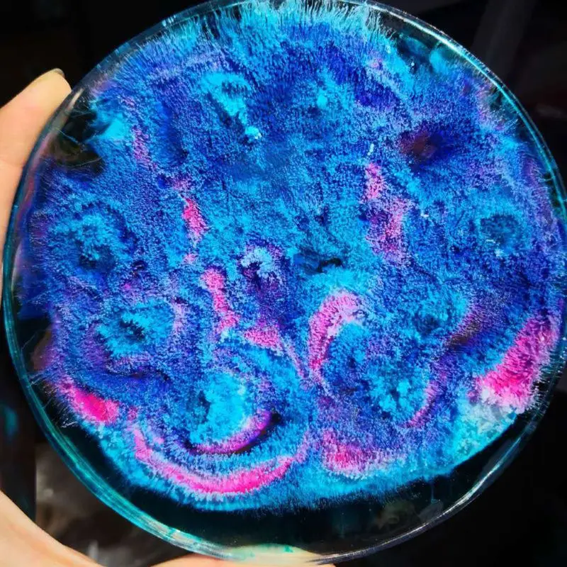 

17 Colors 10ML Art Ink Natural Resin Pigment Kit Liquid Colorant Dye Ink Diffusion UV Epoxy Resin Jewelry Making