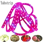 5V 12V 220V светодиодный Grow светильник полный спектр водонепроницаемый светодиодный полосы 5050 60 светодиодный s Фито лампы для парниковых гидропоники для выращивания растений