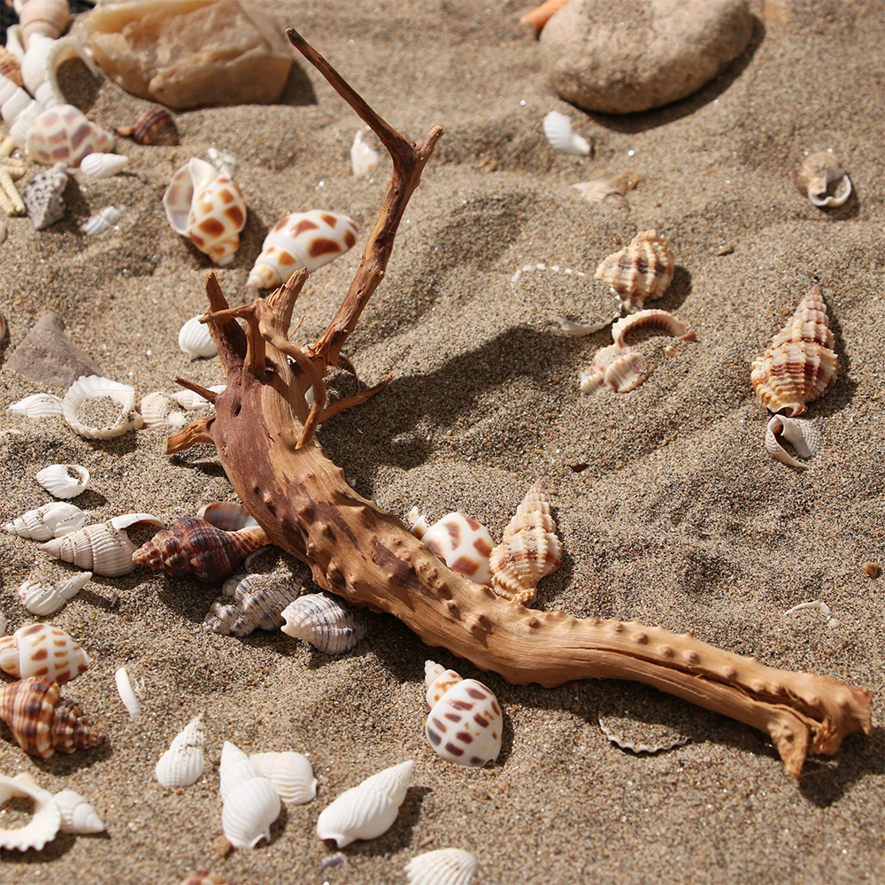 Natural Driftwood Cuckoo Roots Dead-wood Fish Tank Ornament Aquarium Decoration Creative Tree Trunk Micro Landscape Pet Supply | Дом и сад