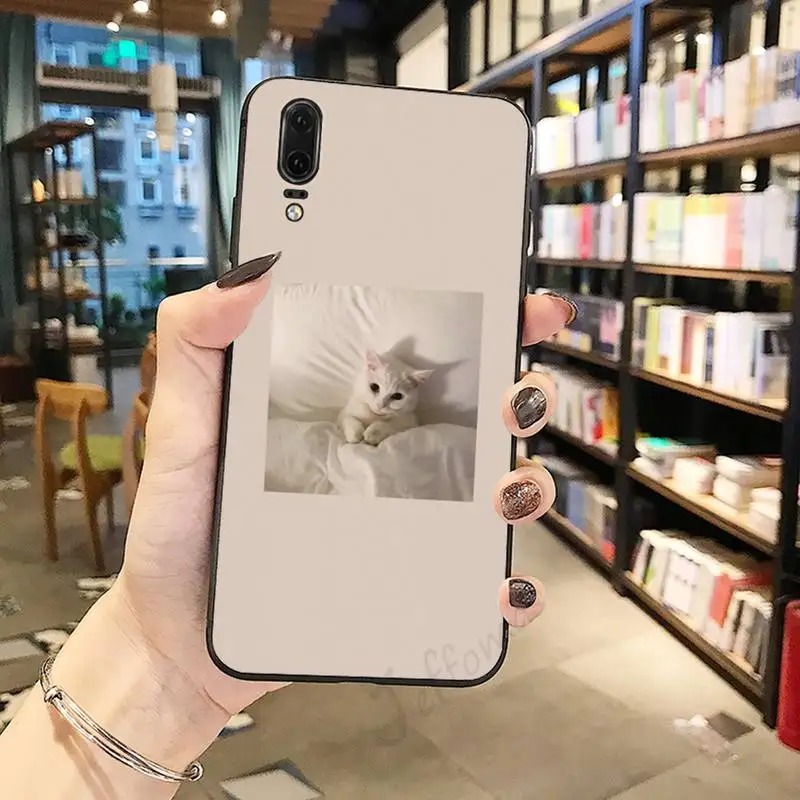 

cat Pink Aesthetic cute aesthetic animal Phone Case For Huawei honor Mate P 10 20 30 40 Pro 10i 9 10 20 8 x Lite